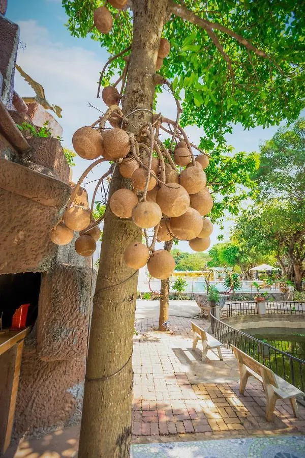 酒店 Caroline Resort 头顿